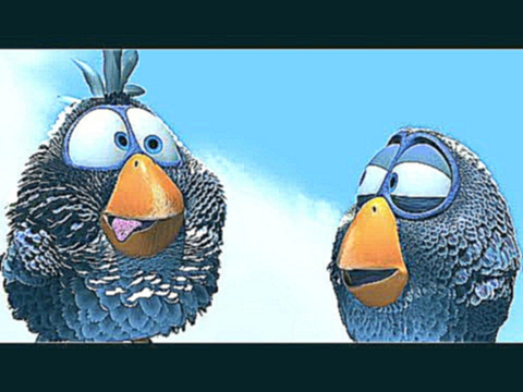 Злые птички мультфильм, смотреть смешные короткие  мульты