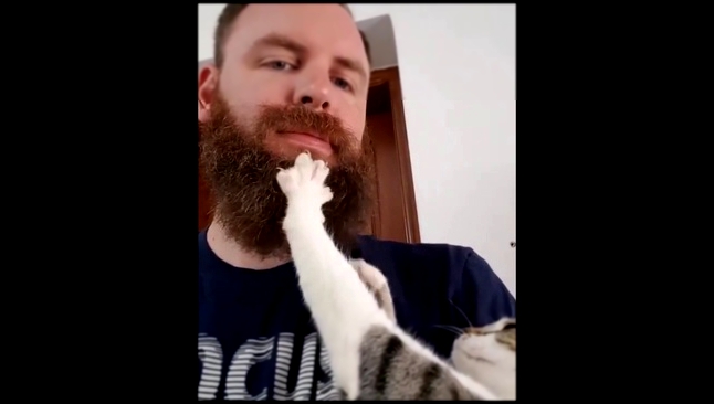 Подборка Кот массирует бороду хозяина