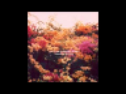 Подборка I Am a Lake of Burning Orchids – Summer in My Veins [FULL ALBUM | HQ SOUND]