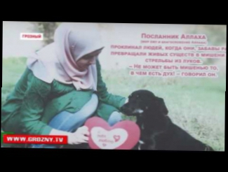 В приюте для животных "Надежда на жизнь" в Грозном прошла благотворительная акция