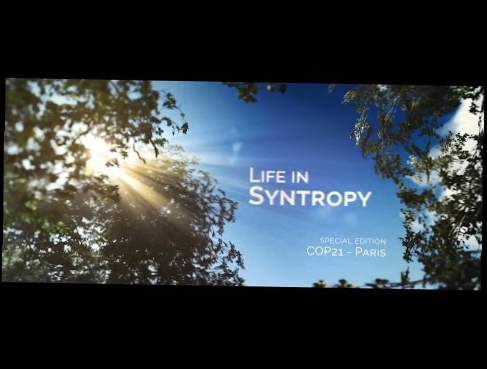 Life in Syntropy