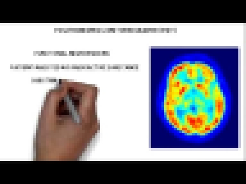 Подборка 2-Minute Neuroscience: Neuroimaging