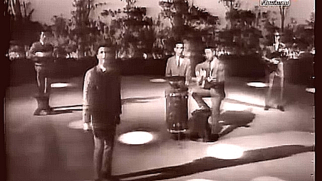 Подборка The Tokens  The Lion Sleeps Tonight (Very Rare Italian TV Show 1963(Этой ночью лев спит)