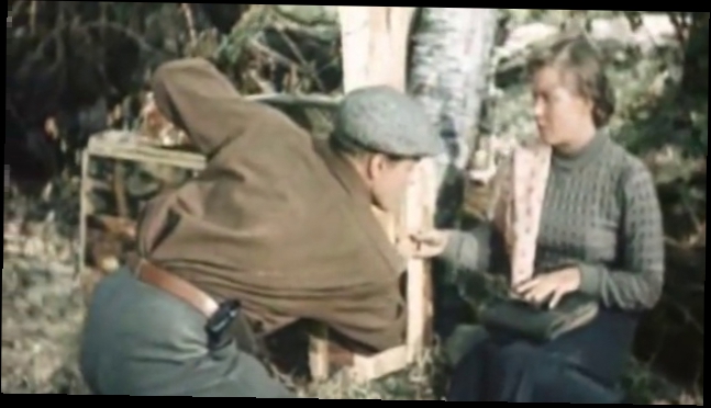 Подборка Случай в тайге (1953) 