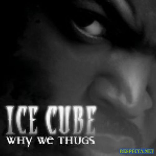 Why We Thugs 