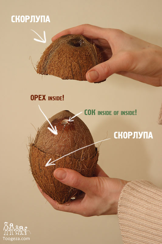 Ореховый кокос рисунок