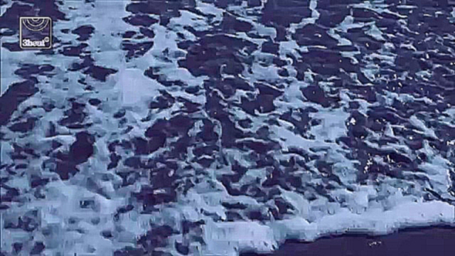 Подборка Paul Van Dyk Ft Arty - The Ocean (Official Video) 