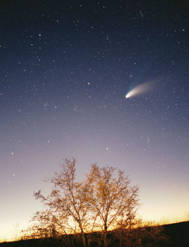 ищу свою комету рисунок
