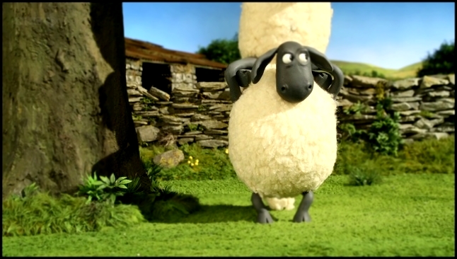 Подборка Барашек Шон / Shaun the Sheep: серия 71. Сирота (The Magpie)