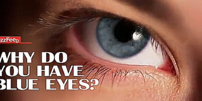 Подборка Почему у вас голубые глаза
