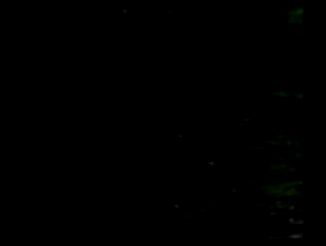 Подборка Муслим Магомаев и вокальный квартет Аккорд - От села до села (муз. Анатолия Быканова - ст. Анатолия Горохова)