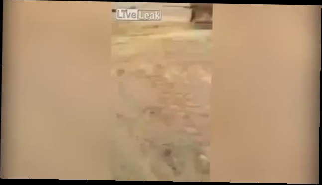Подборка В пустыне Саудовской Аравии работники наткнулись на «песочный» гейзер