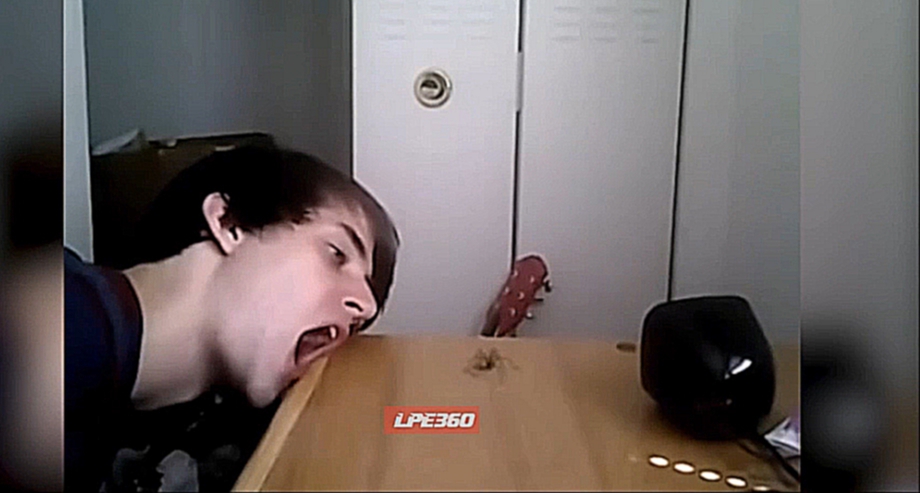 Подборка Эмо-парень пытается съесть паука со стола