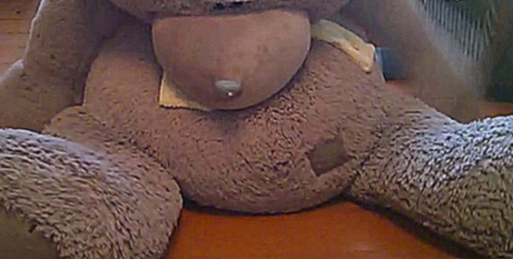 Подборка Teddy Bear, My Teddy Bear