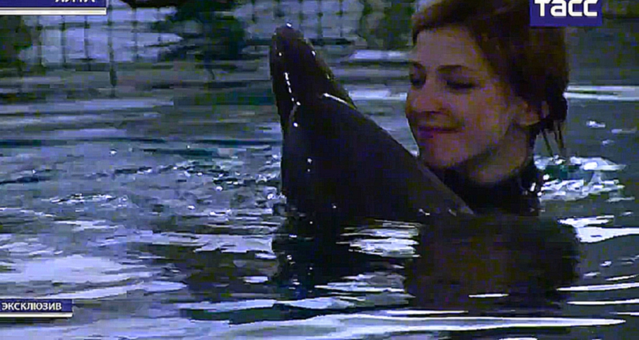 Подборка Наталья Поклонская с дельфинами