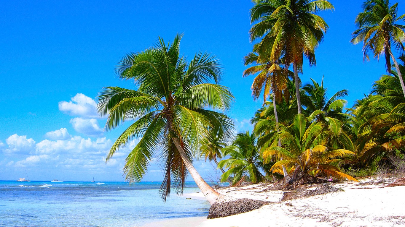Остров Барбадос  кокоин рисунок