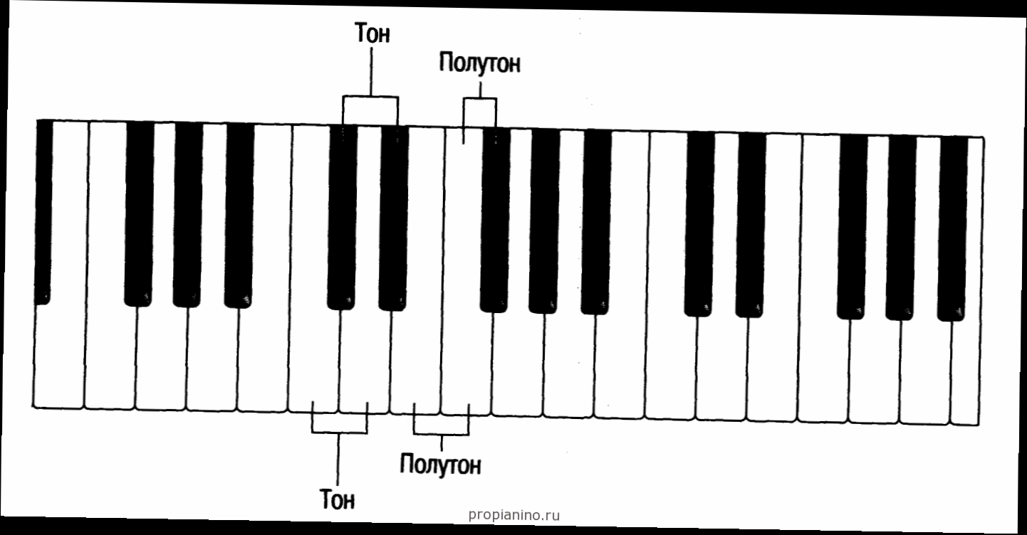 Гаммы – это ноты, которые Пианино для начинающих